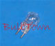 #29 MINIATURE BULB G5.3 BASE - 10 Volt .11 Amp G3-1/2 G5.3 Base, C-2R Filament Design. 3,000 Average Rated Hours, 0.94" Maximum Overall Length. #29