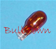 #906A NATURAL AMBER MINIATURE BULB GLASS WEDGE BASE - 13 Volt .69 Amp T5 Natural Amber Glass Wedge Base, 6.0 MSCP C-2F Filament Design. 1.49" Maximum Overall Length, 1,000 Average Rated Hours. #906NA